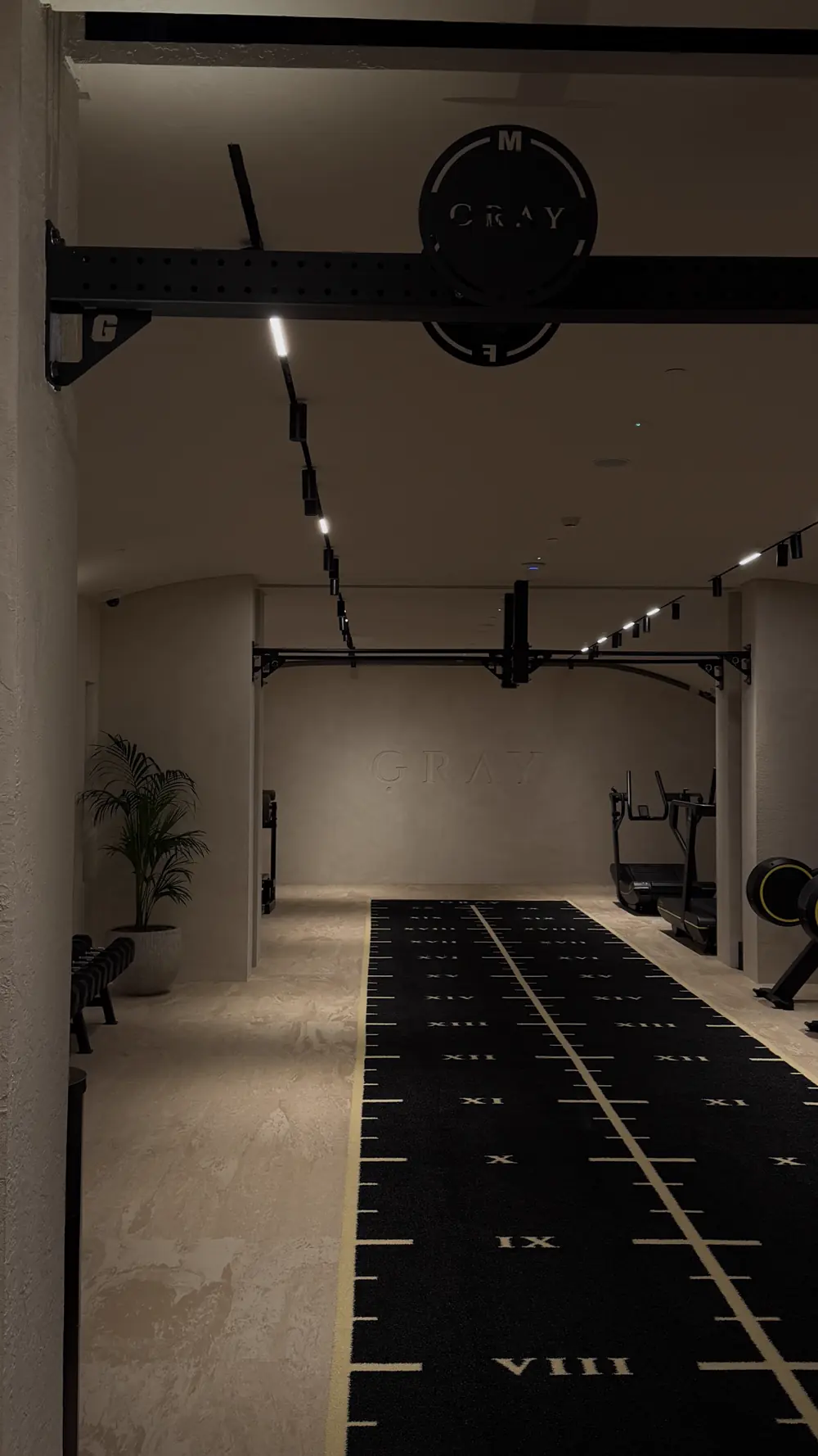 Grey Wellness Gym and Spa training space